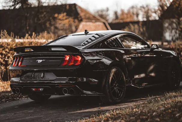 Bizz Kasino Android/iOS aplikace